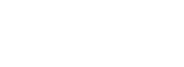 Visentus.com
